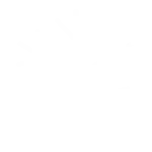 Icon Snowflake