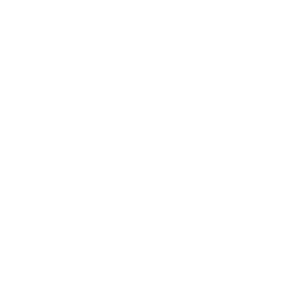 Icon Trucking V2