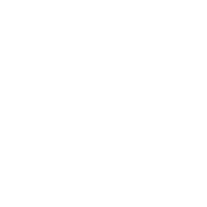 Icon Flat Trucking V2